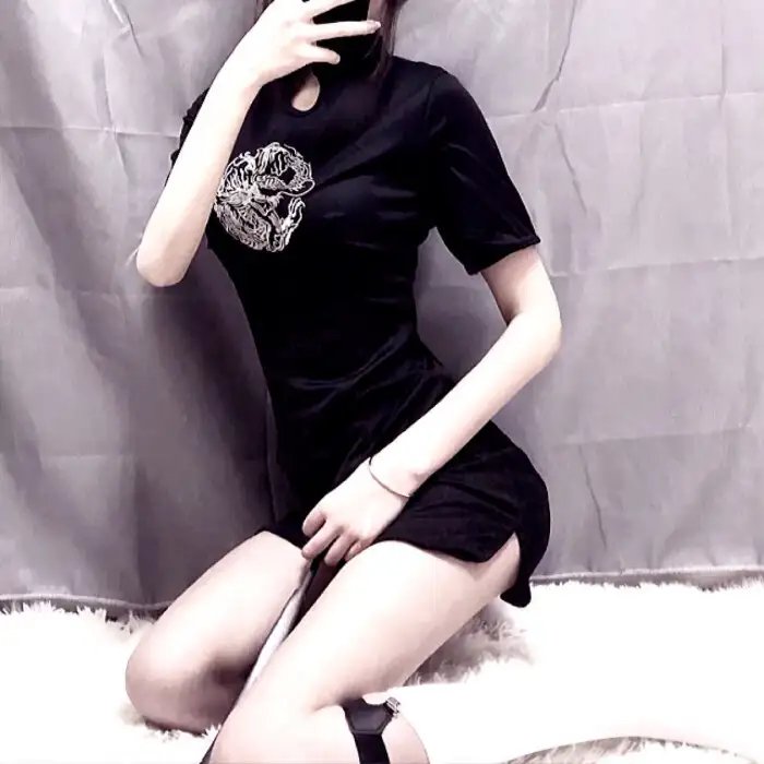 雌雌大盗