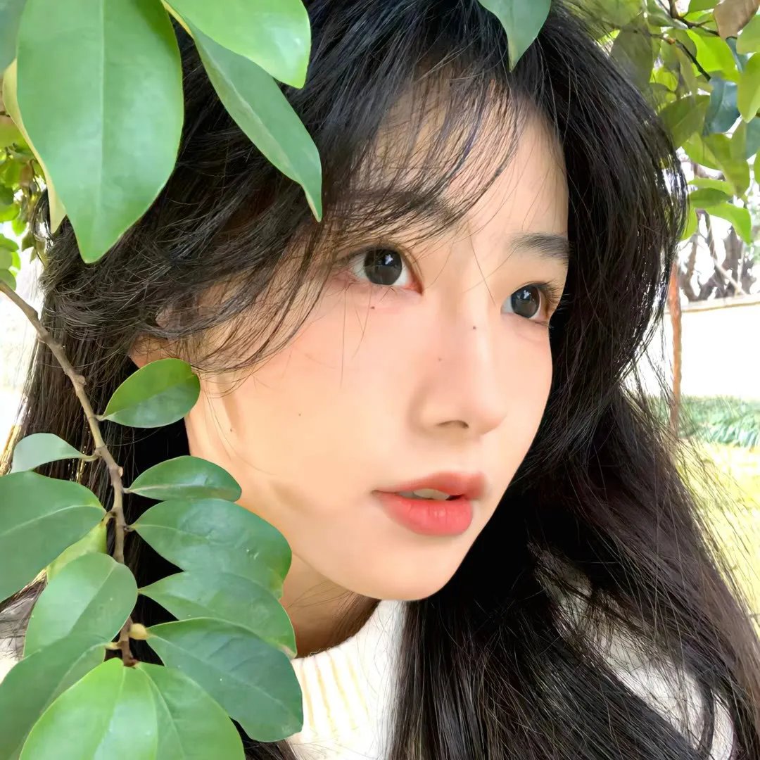 阳台前的夏天